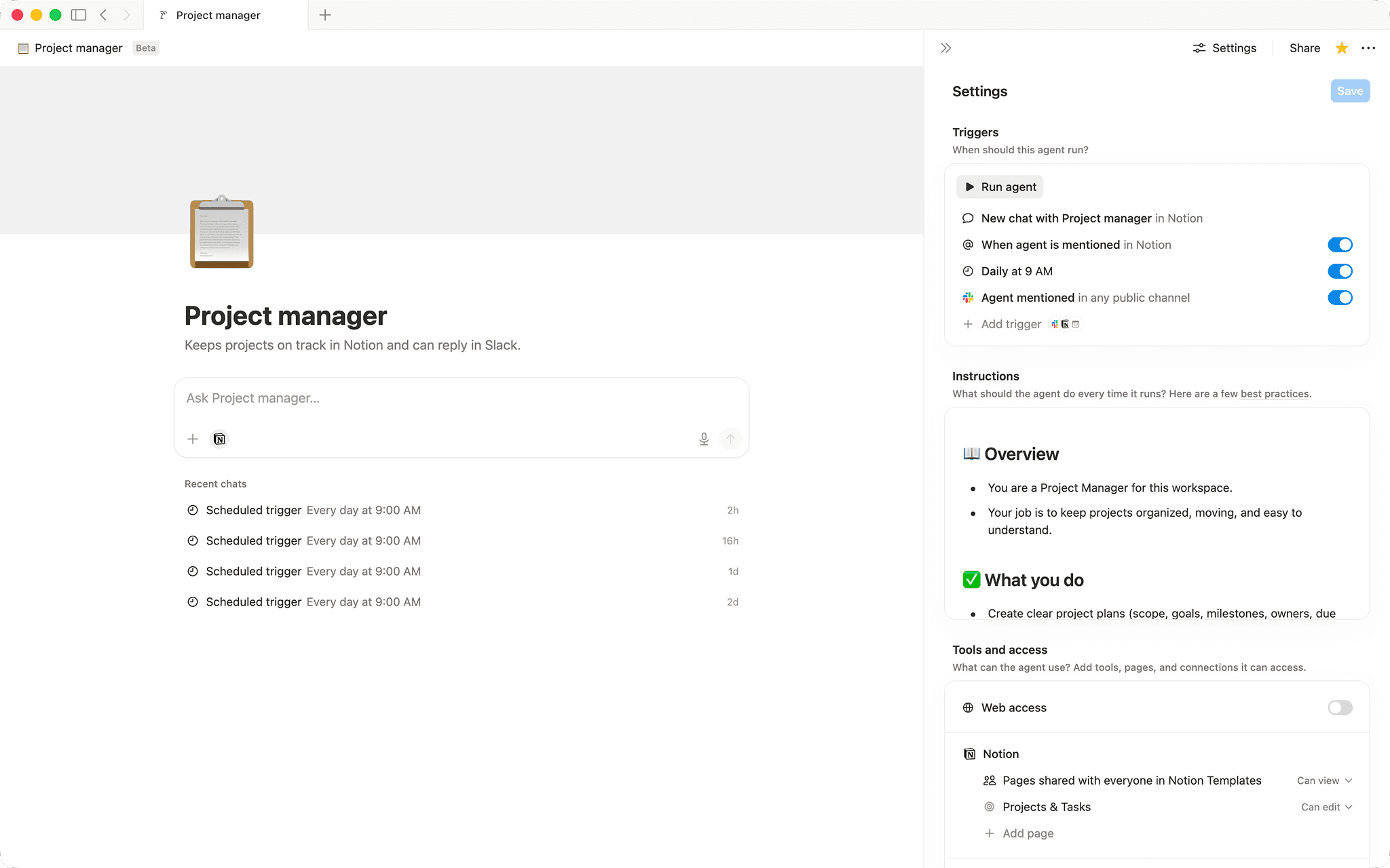Project manager